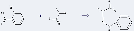 The Alanine, N-benzoyl- could be obtained by the reactants of benzoyl chloride and alanine